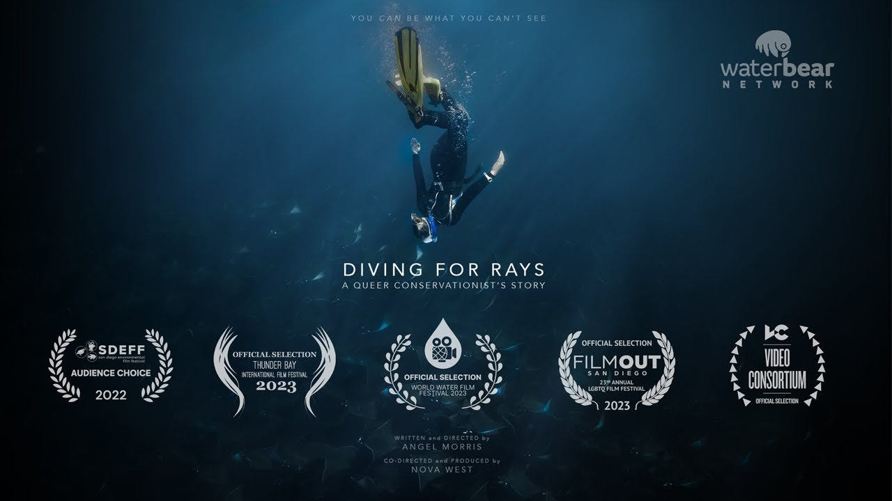 Diving for Rays - A Queer Conservationist's Story