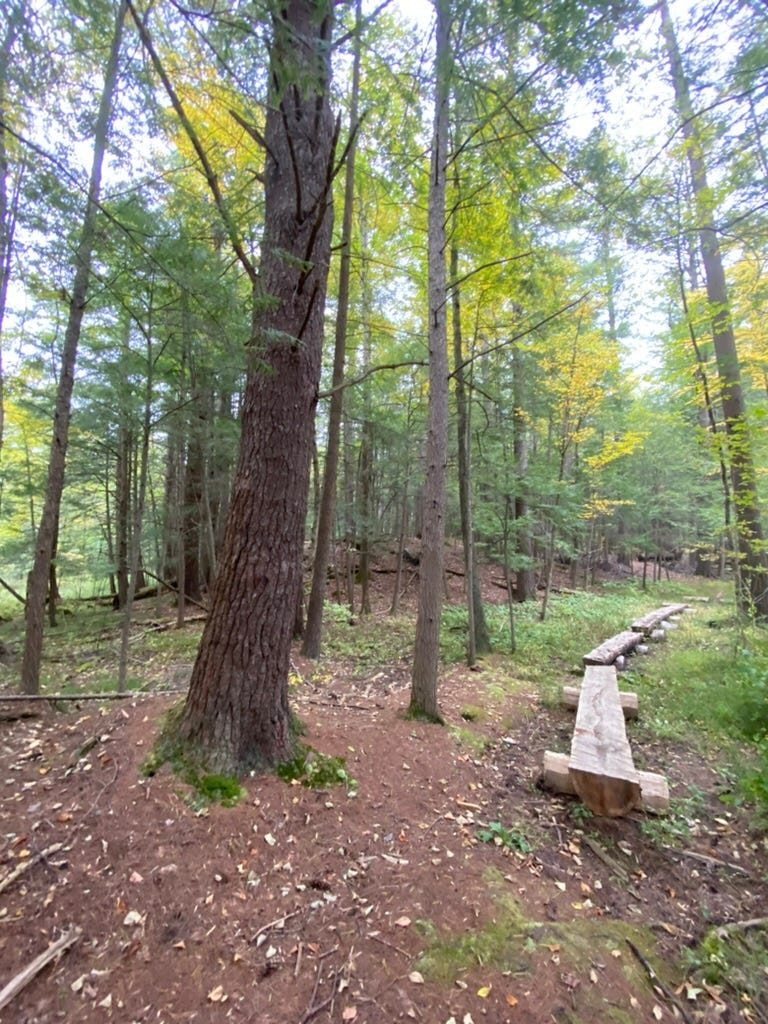 The Interpretive Trail