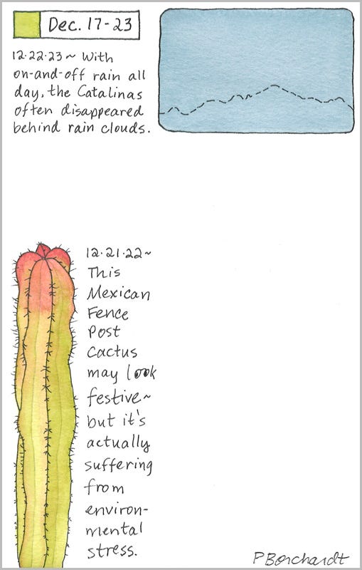 Perpetual Journal, week of Dec. 17-23: Catalinas Hidden Behind Rain Clouds (2023); Mexican Fence Post Cactus (2022)