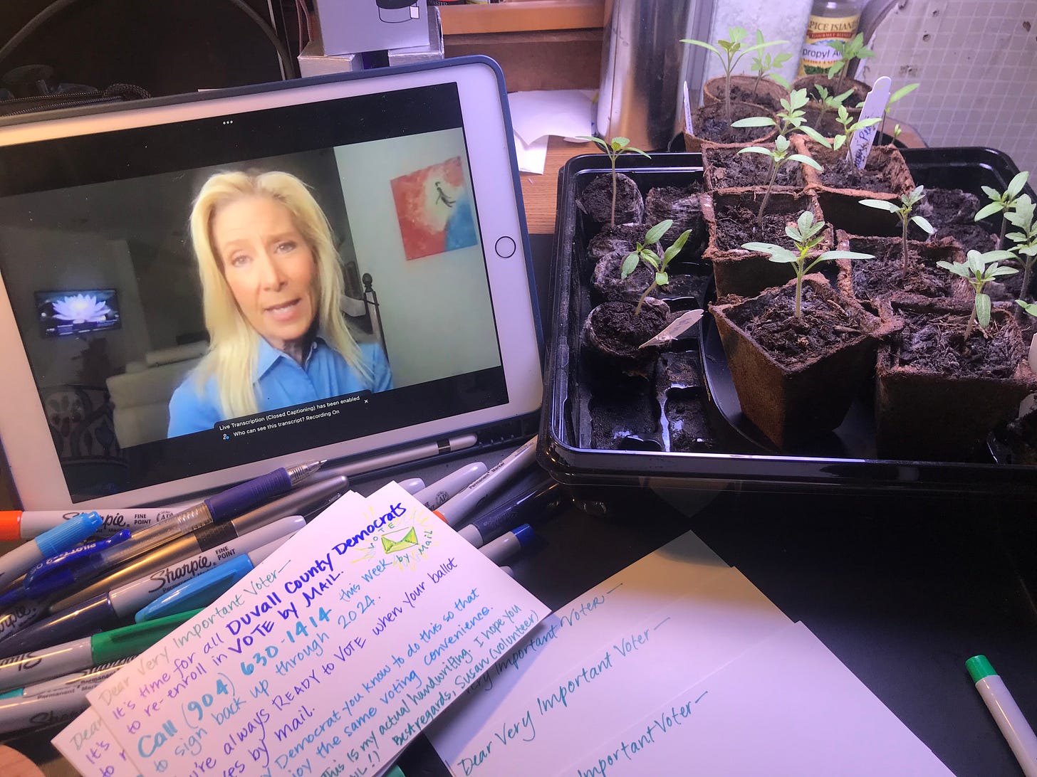 iPad with candidate Donna Deegan speaking, tomato seedlings, and postcards to voters to re-up mail in ballot.