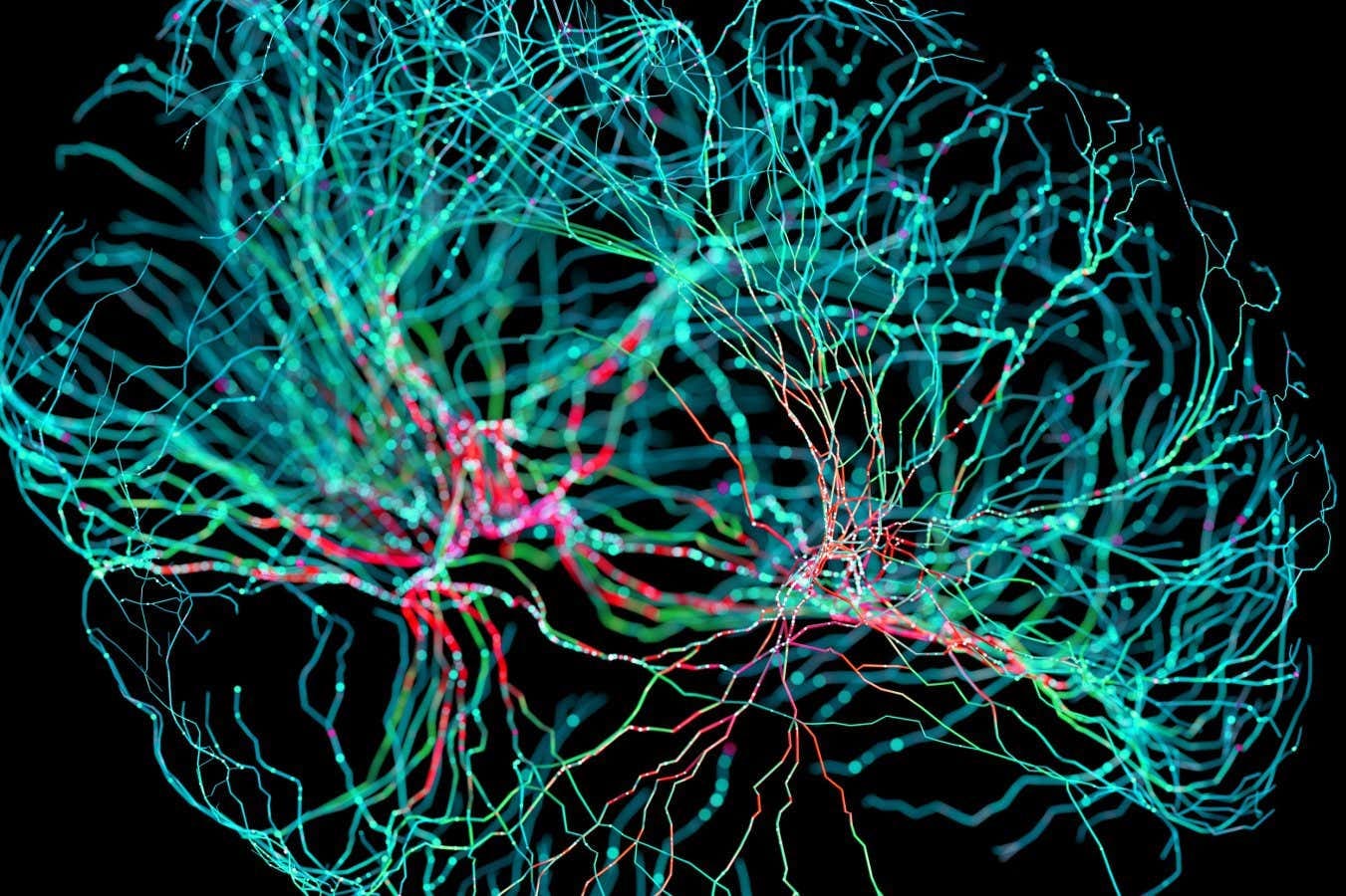 Nerve fibres in the brain could generate quantum entanglement | New  Scientist