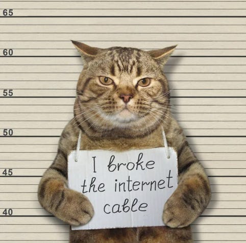 I broke the internet cable