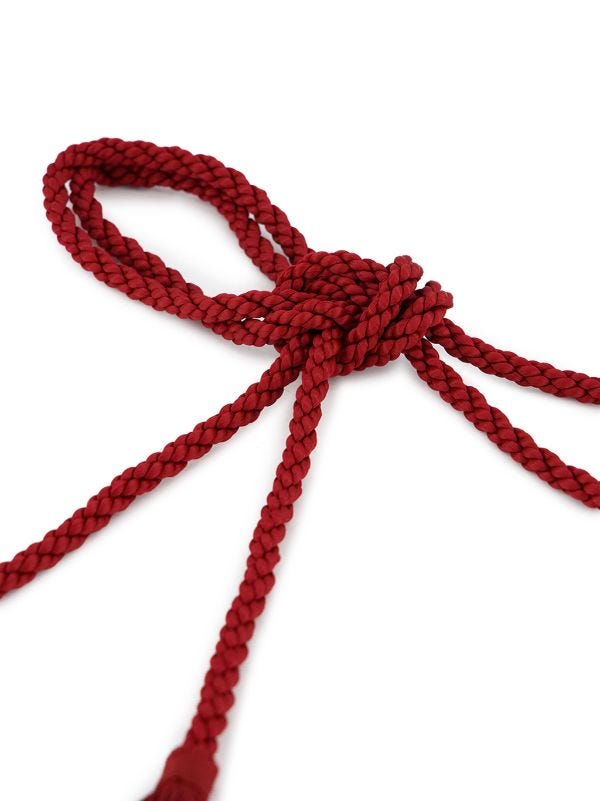 PAULA Silk Rope Belt | Red | FARFETCH AU