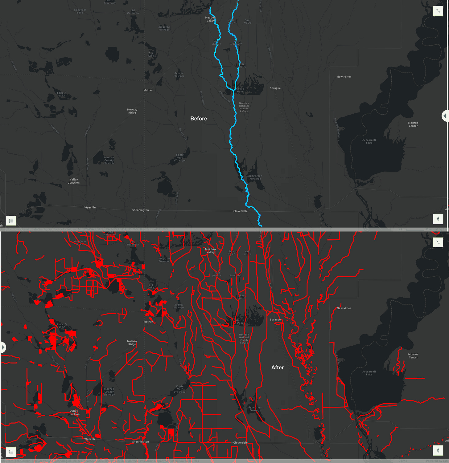 A two-part map showing the Little Yellow River before and after human intervention. The top map, labeled "Before," depicts the river in its natural state, with a single winding blue waterway. The bottom map, labeled "After," shows a dramatically altered landscape with a complex network of red artificial waterways and drainage systems, illustrating extensive land modification.