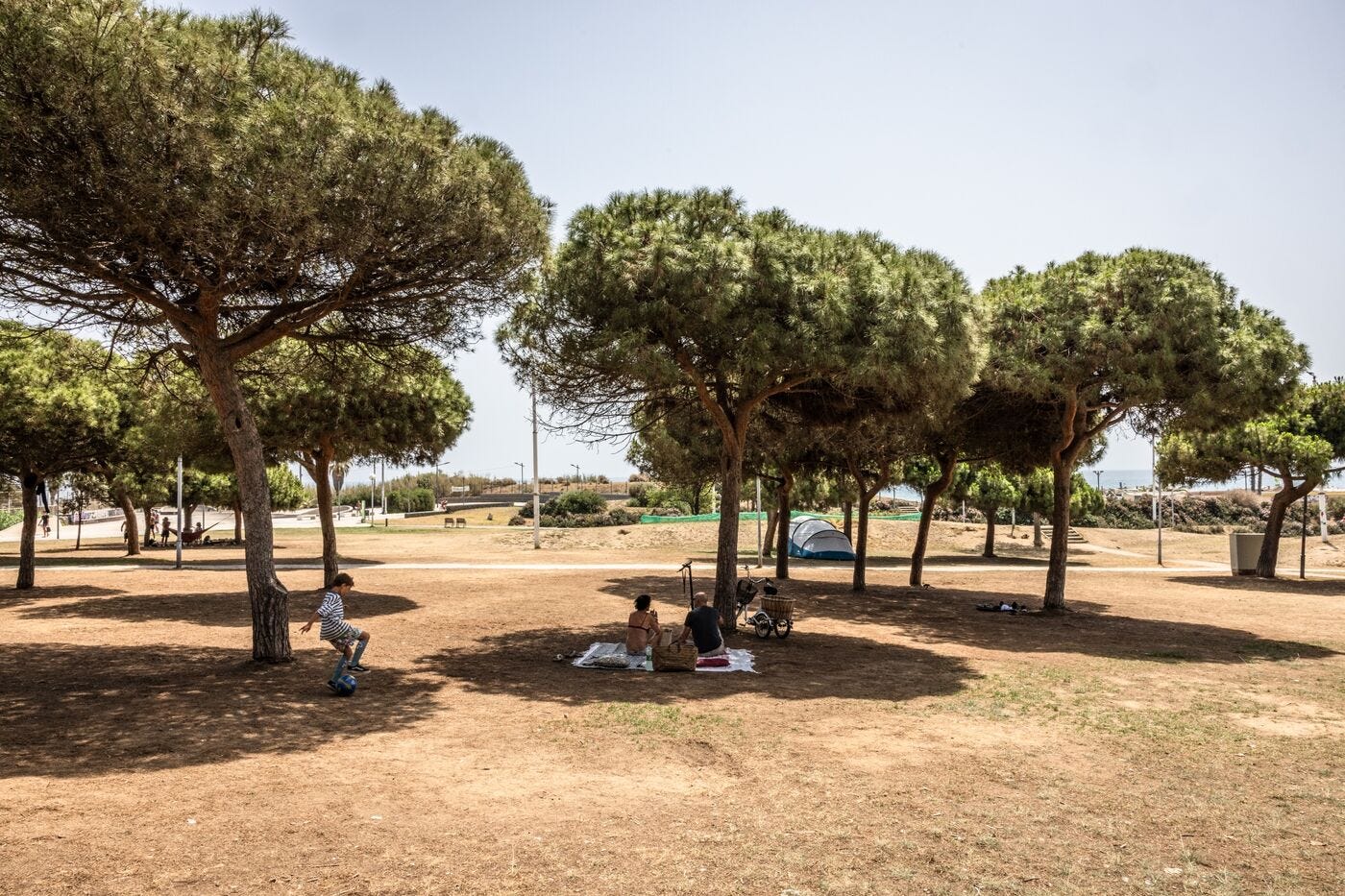 relates to Extreme Drought Is Wreaking Havoc on Daily Life in Spain