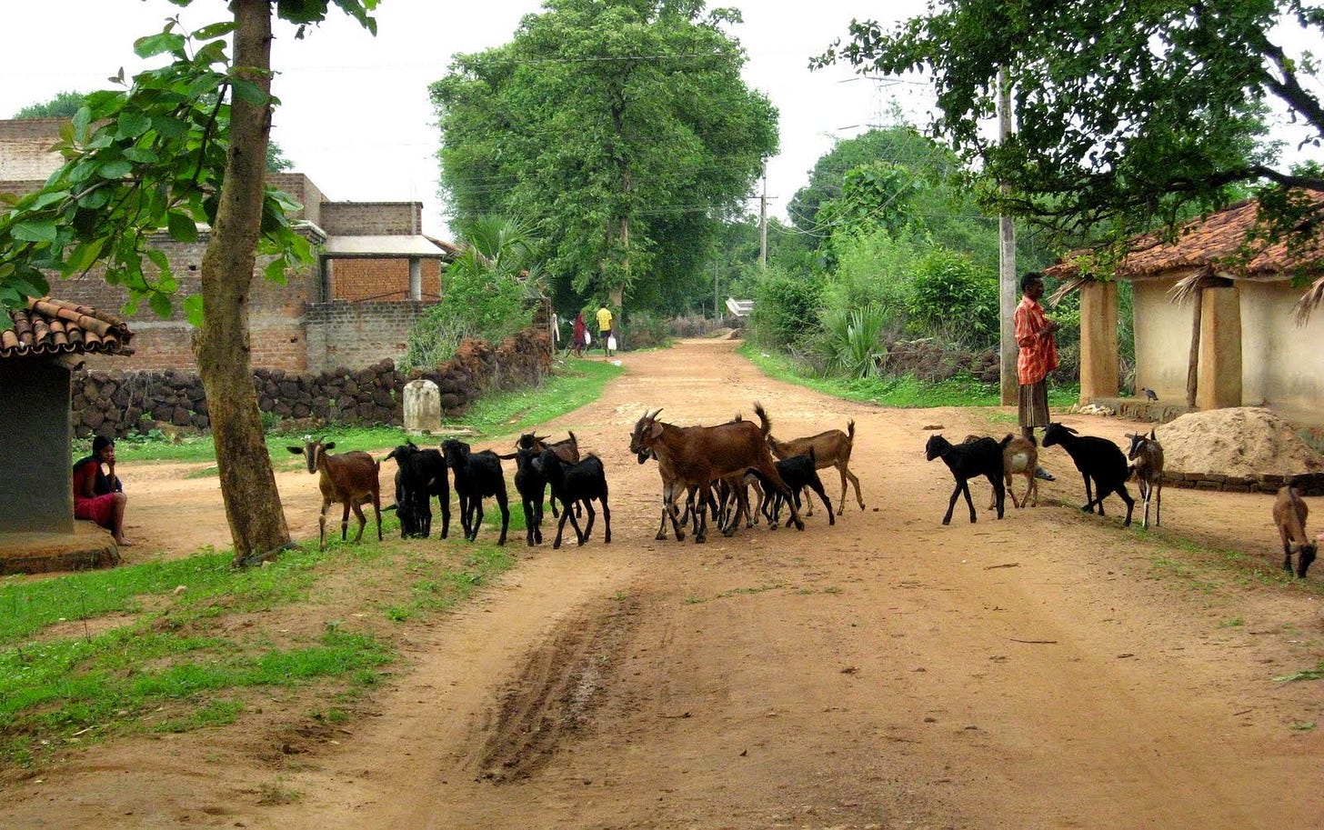 Most Beautiful Scene Village Life in Punjab, Pakistan - Karamat Adeel