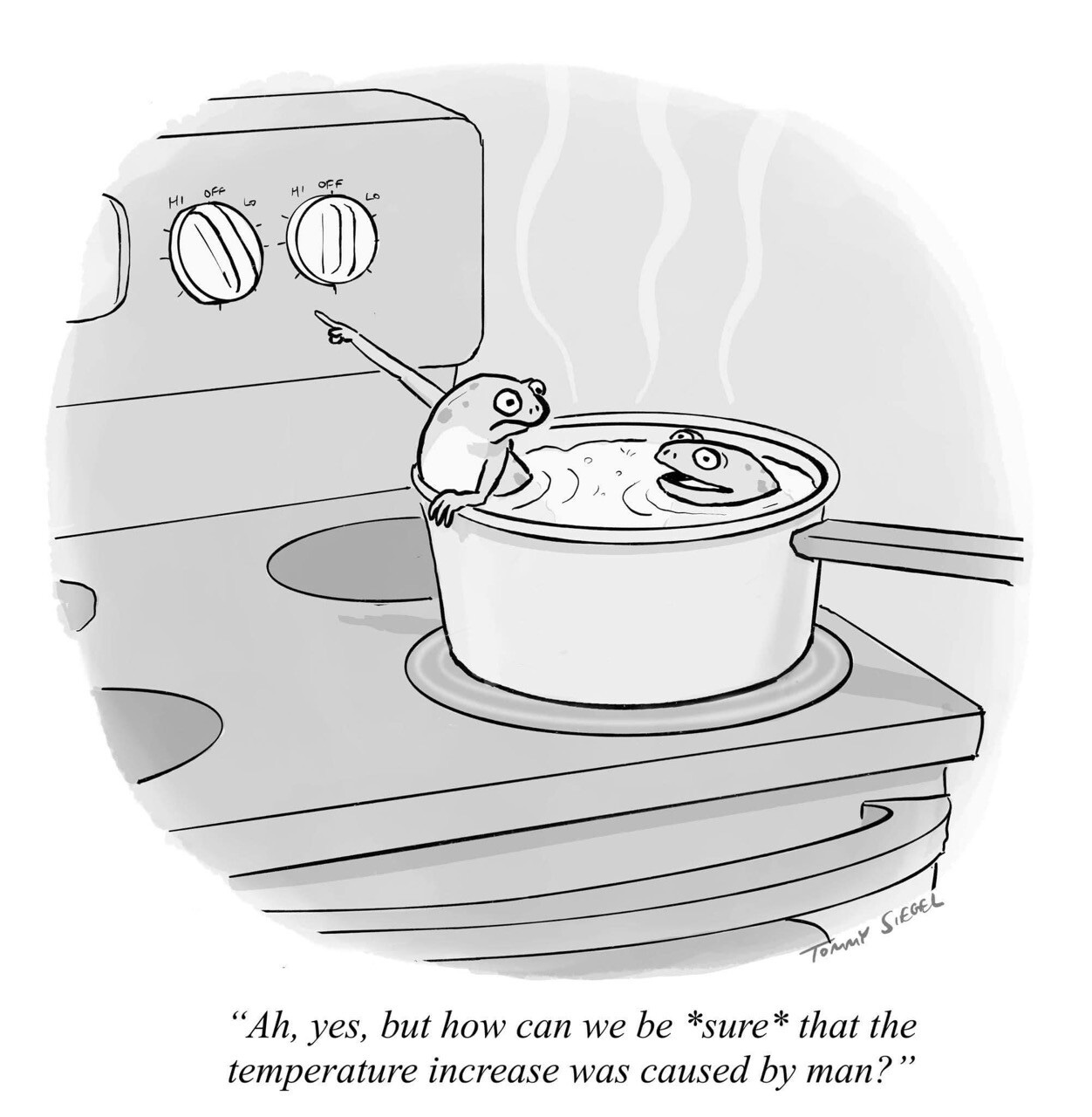 Cartoon of two frogs in a saucepan of water on a stovetop. One is desperately pointing at the control knobs on the stove, and the other replies: 
“Ah, yes, but how can we be "sure” that the temperature increase was caused by man?”

~ Tommy Siegel