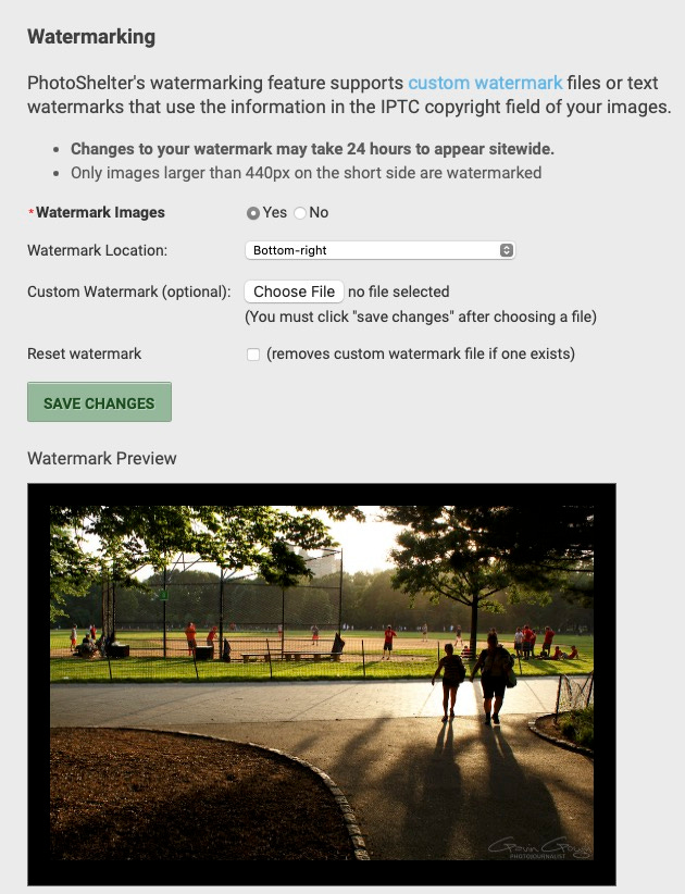 Photoshelter has a built-in tool for custom watermarks