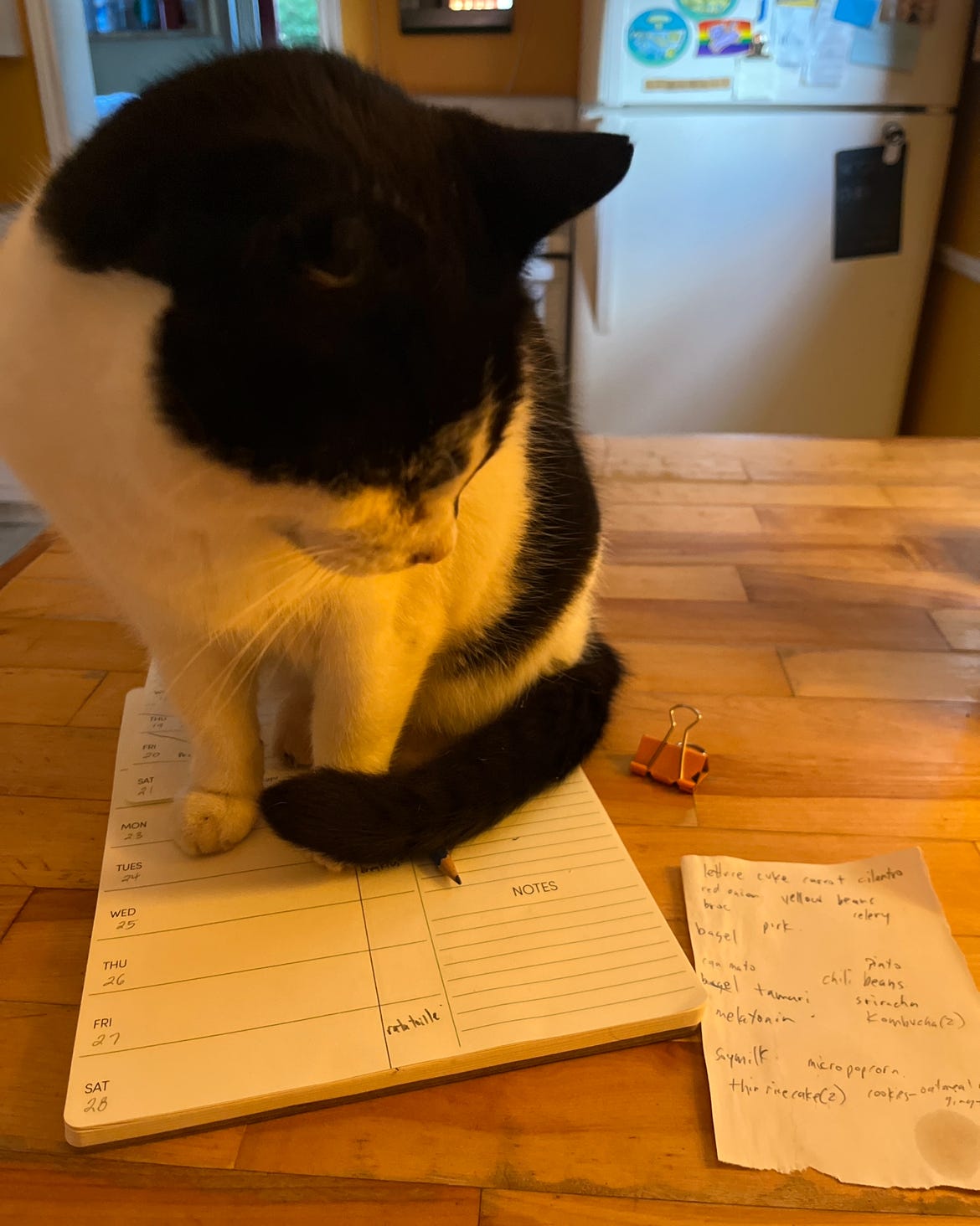 A black and white cat sitting on my paperwork as I try to plan our meals for the week and make a grocery list