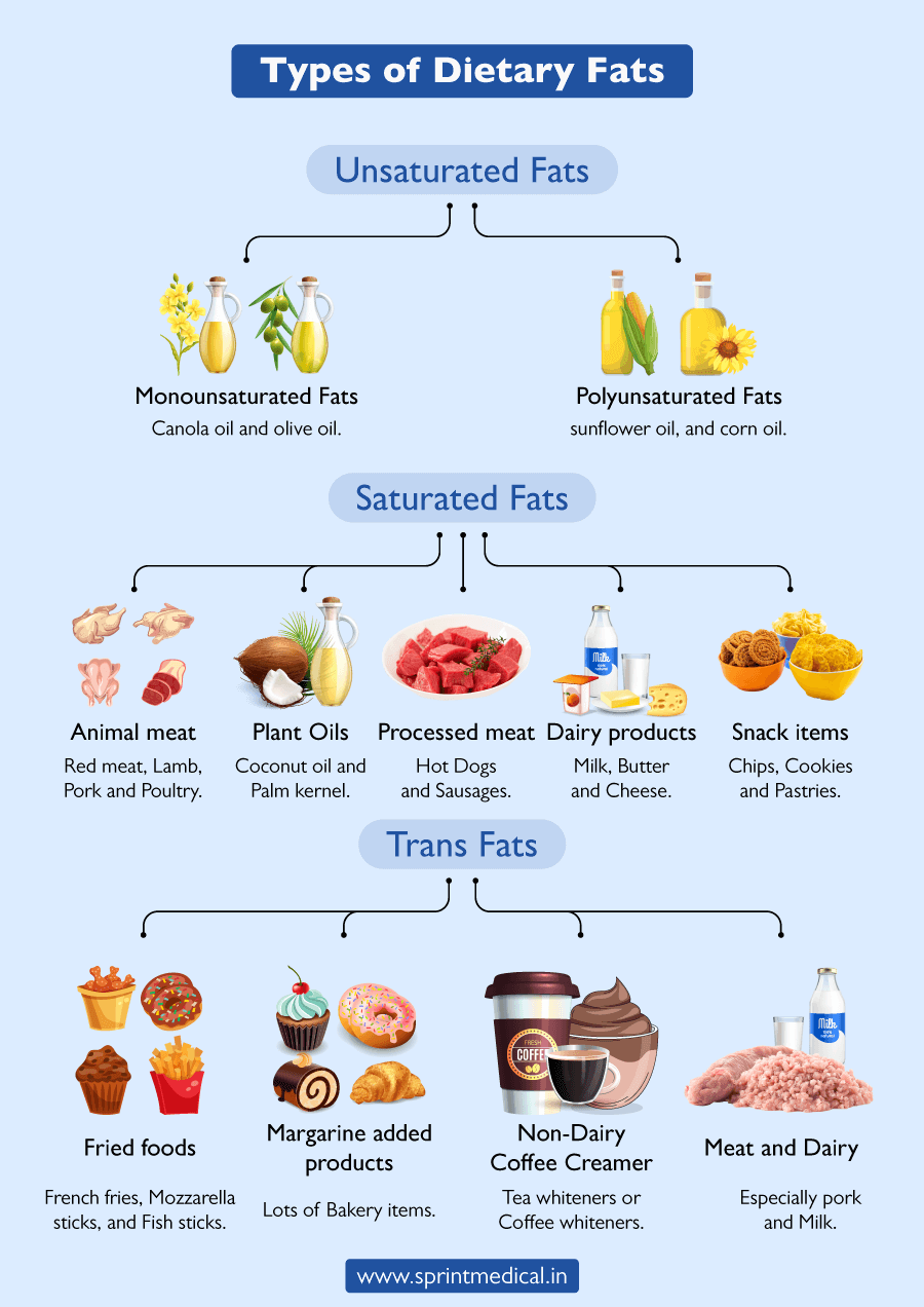 Unsaturated vs saturated fat: Which is better for your health? | Sprint  Medical