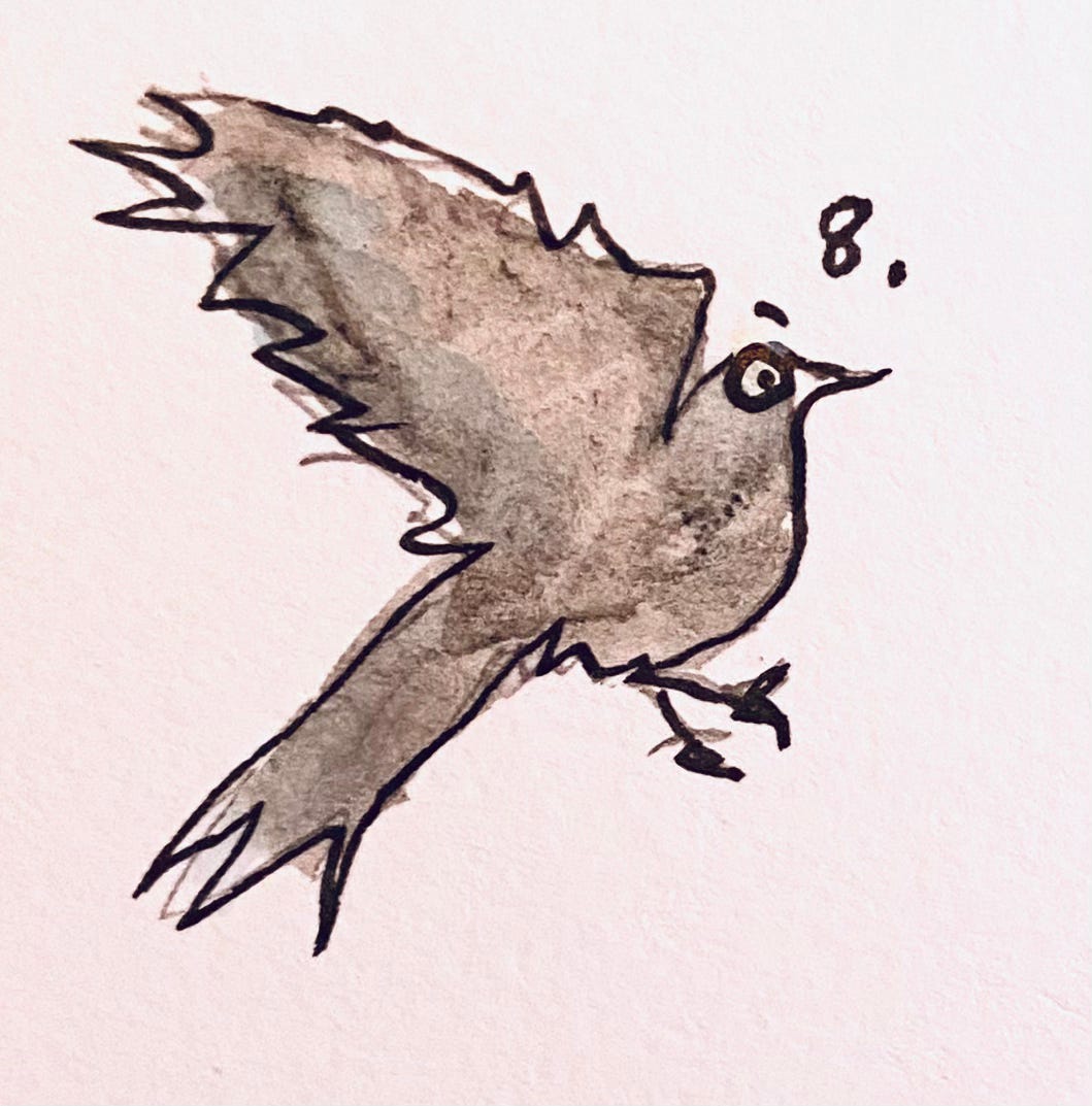 thirteen ways of looking at a blackbird wallace stevens