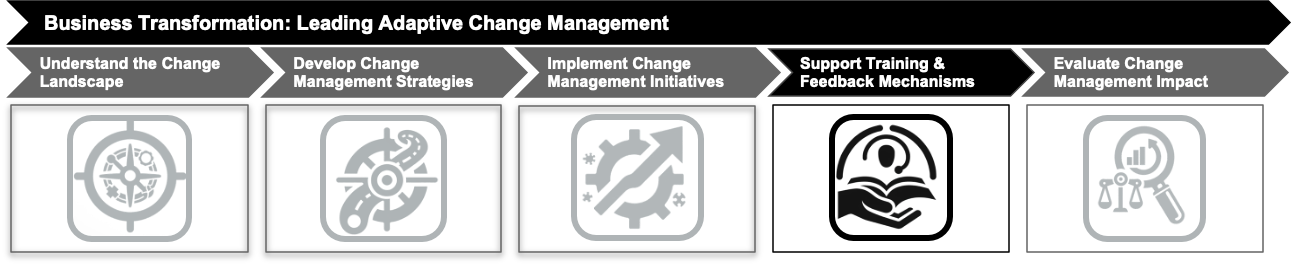 04 Support Training and Feedback Mechanisms