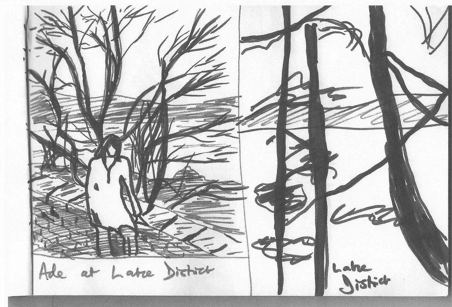 Lake District sketches, by Terry Freedman. Felt tip on paper.