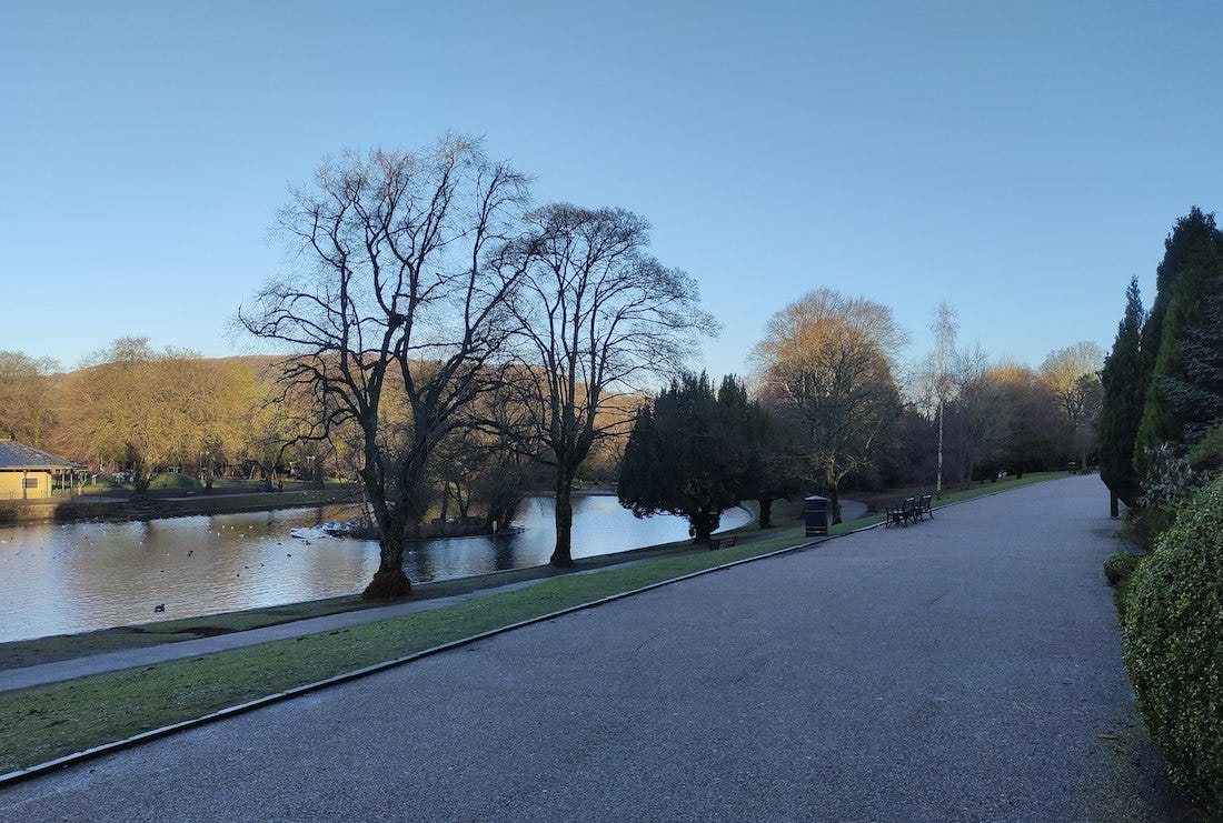 Wide path looks down over a lake and sun on trees at the far end