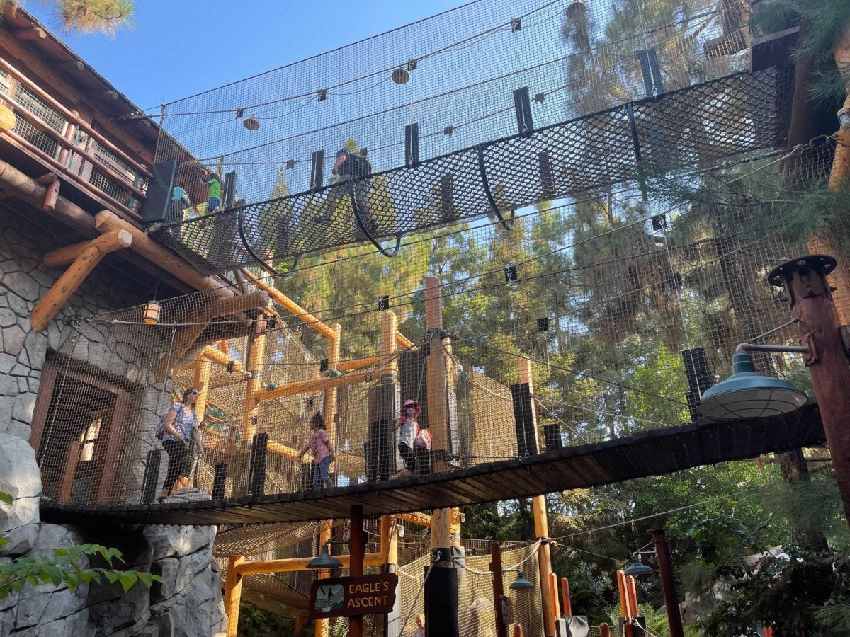 PHOTOS, VIDEO: Redwood Creek Challenge Trail Reopens to Guests at Disney  California Adventure - WDW News Today