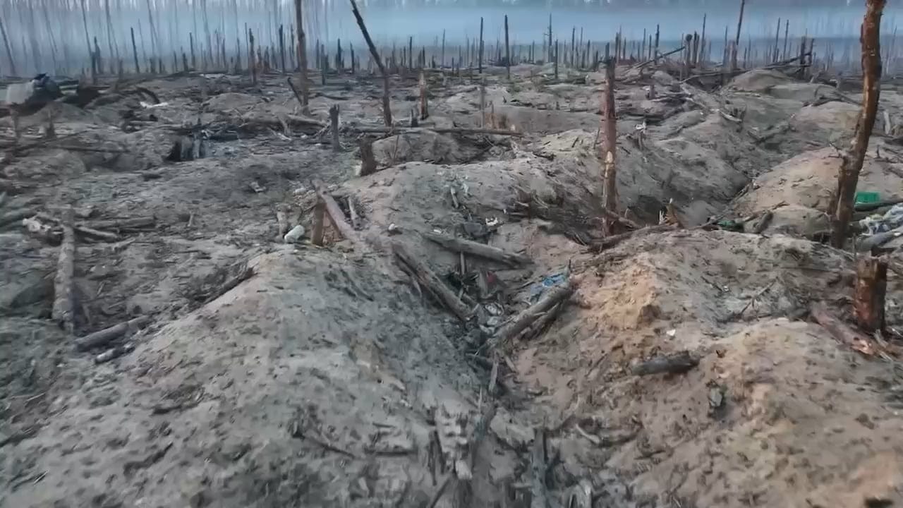 destroyed russian positions at serebryansky forest : r/UkraineWarVideoReport