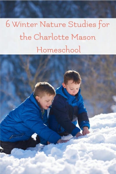 winter nature study ideas for charlotte mason homeschool