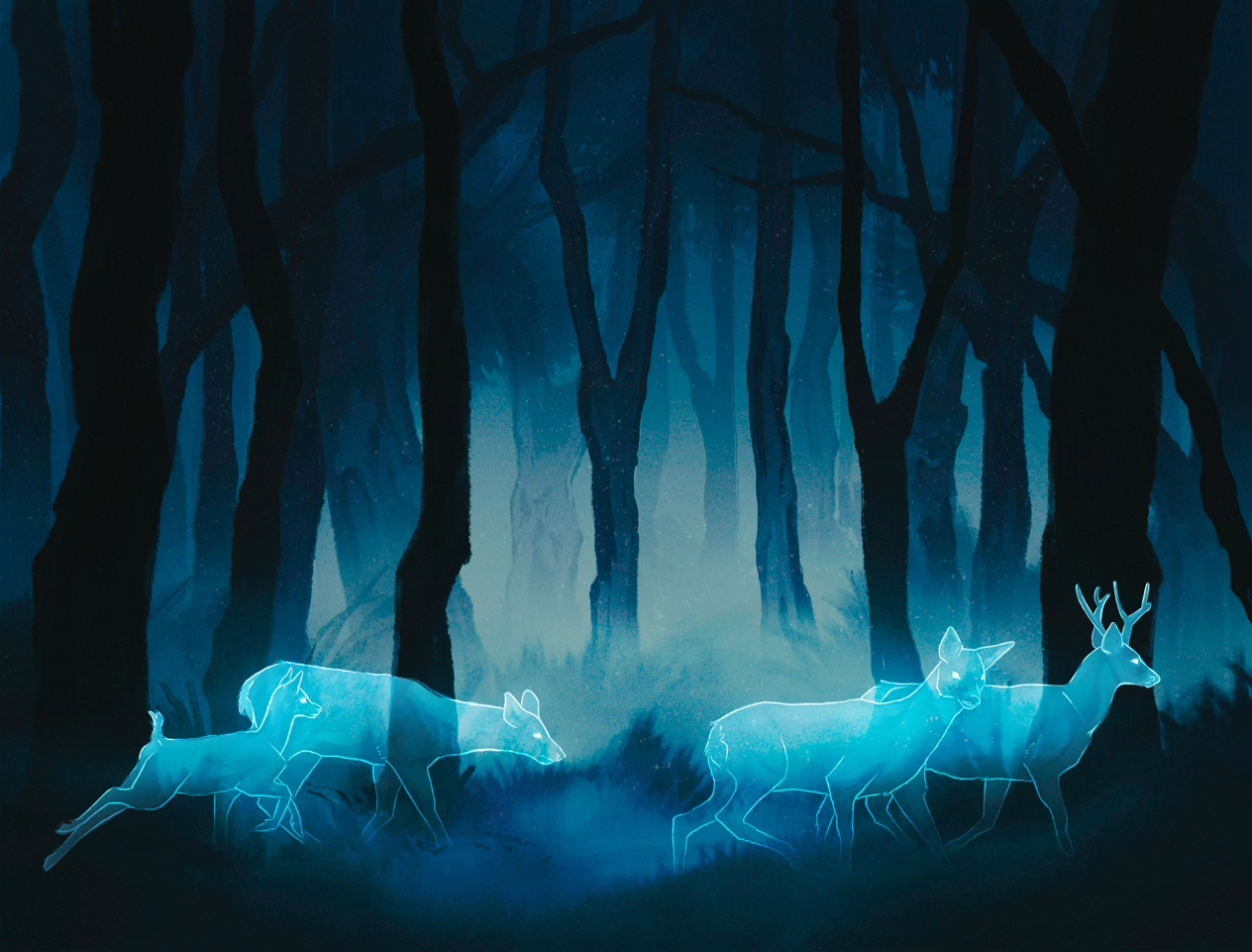 Art by @rhymes.y from OwlCrate of ghost deer, glowing ethereally in a night forest