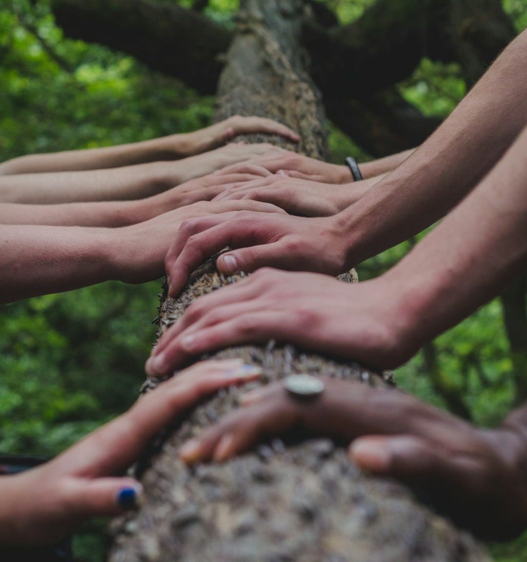 a group of people holding hands on top of a tree a group of people holding hands on top of a tree