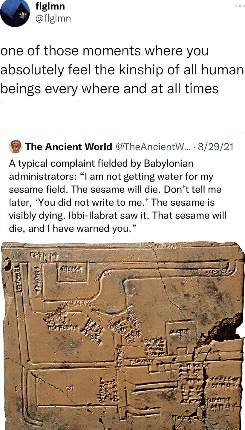 May be an image of text that says "flglmn @flglmn one of those moments where you absolutely feel the kinship of all human beings every where and at all times The Ancient World @TheAncientW.. 8/29/21 A typical complaint fielded by Babylonian administrators: "I am not getting water for my sesame field. The sesame will die. Don' tell me later, 'You did not write to me. The sesame is visibly dying. bbi-llabrat saw it. That sesame will die, and have warned you." ব বঙাপসারা"