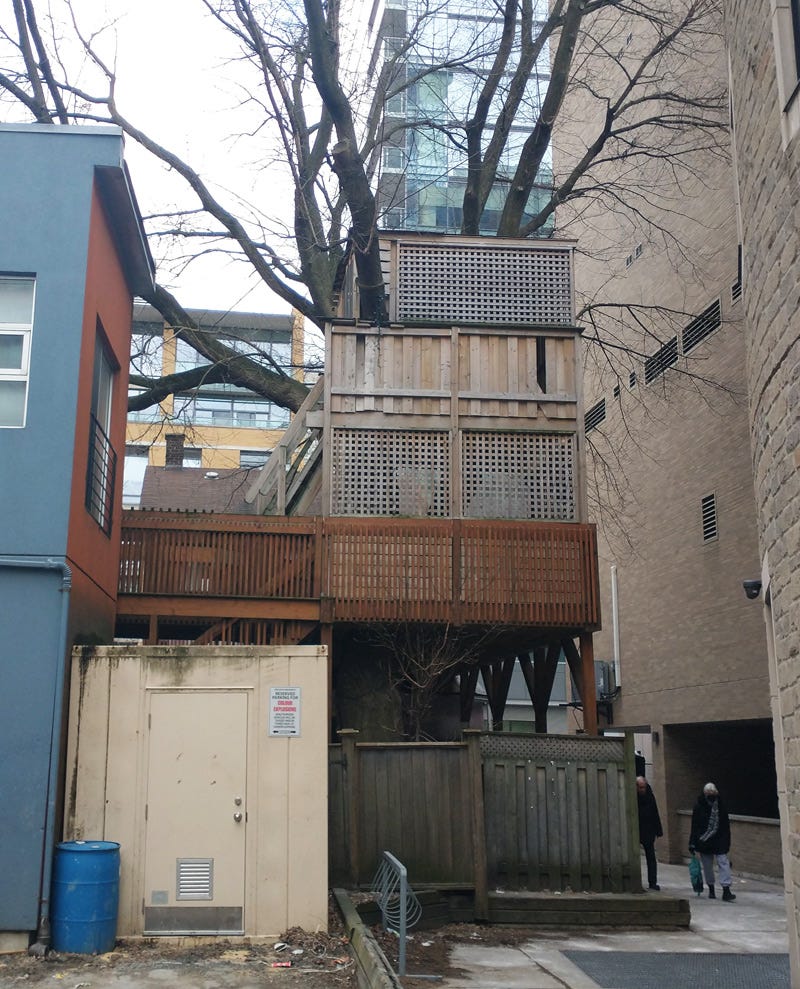 Photo of treehouse built around a tree, visible from street