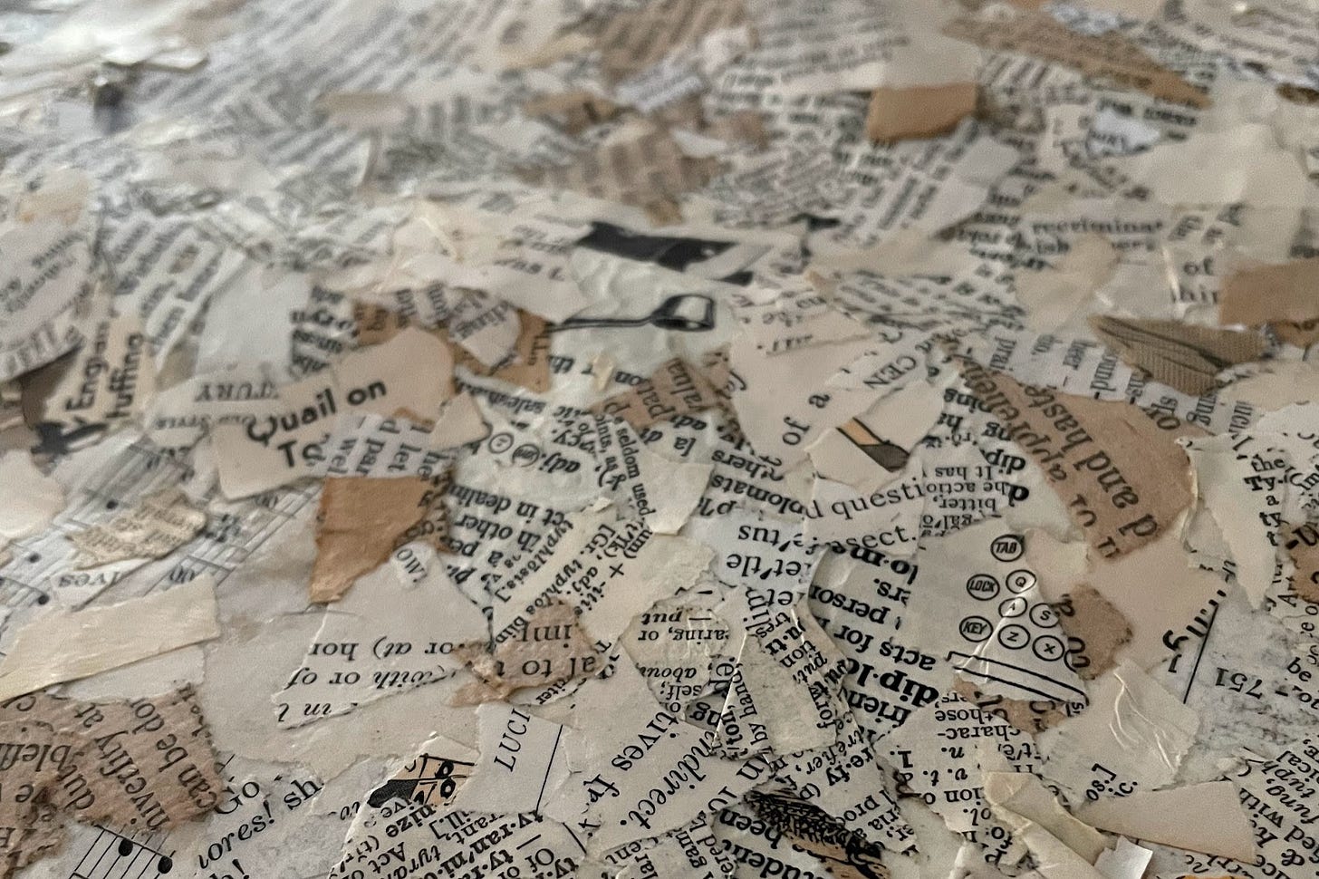 detail view of many scraps of dictionary paper ripped up and collaged together again