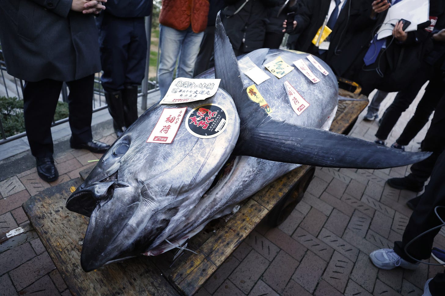The most expensive tuna sold at this year’s first auction.