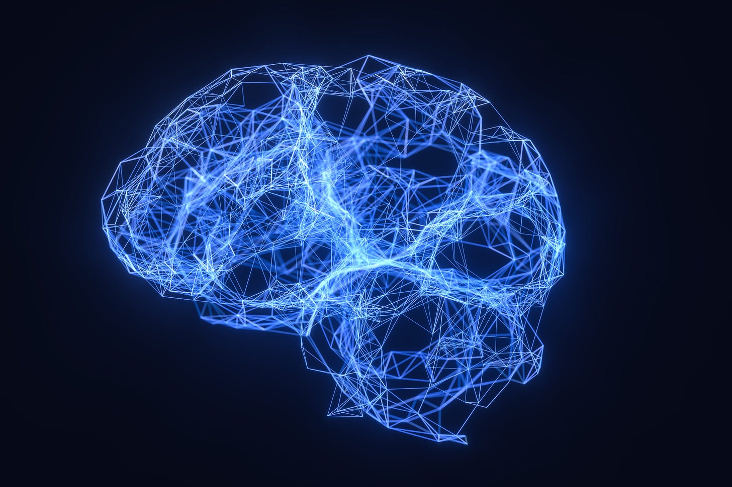 What is the function of the various brainwaves? - Scientific American