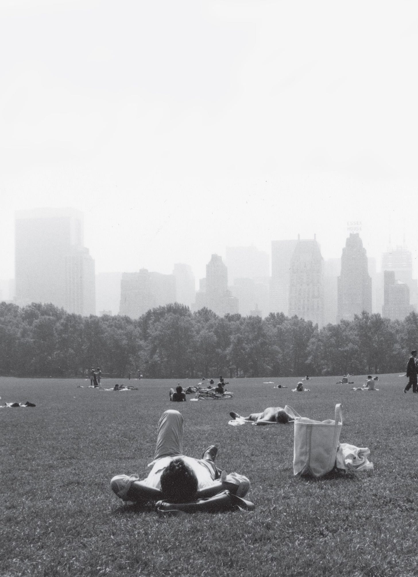 J.J. Semp lies on the grass in Central Park.