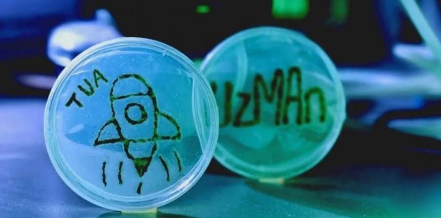 Designs drawn in algae in Petri dishes. One shows a launching spaceship, with the letters 'TUA', and the other just says 'UzMan'