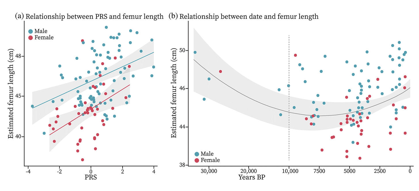 Two panels; left has an increasing relationship of PRS score and Estimated Femur Length; the right has a curvilinear relationship of femur length and date. Two panels; left has an increasing relationship of PRS score and Estimated Femur Length; the right has a curvilinear relationship of femur length and date.