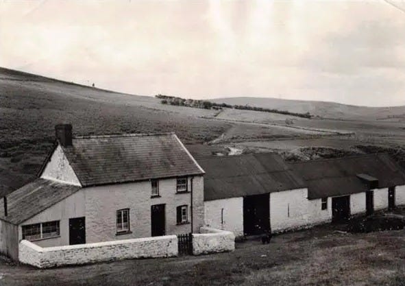 The village of Mynydd Epynt was a thriving farming community until World War II