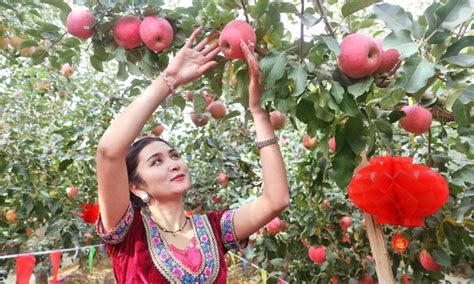 Xinjiang moves firmly toward a better future on the fast development ...