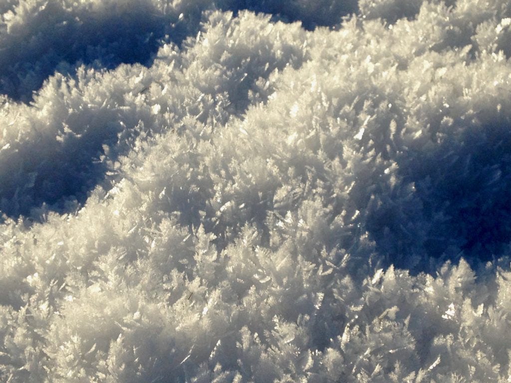 Snow crystals on our lawn grown from weeks of continuous frost.