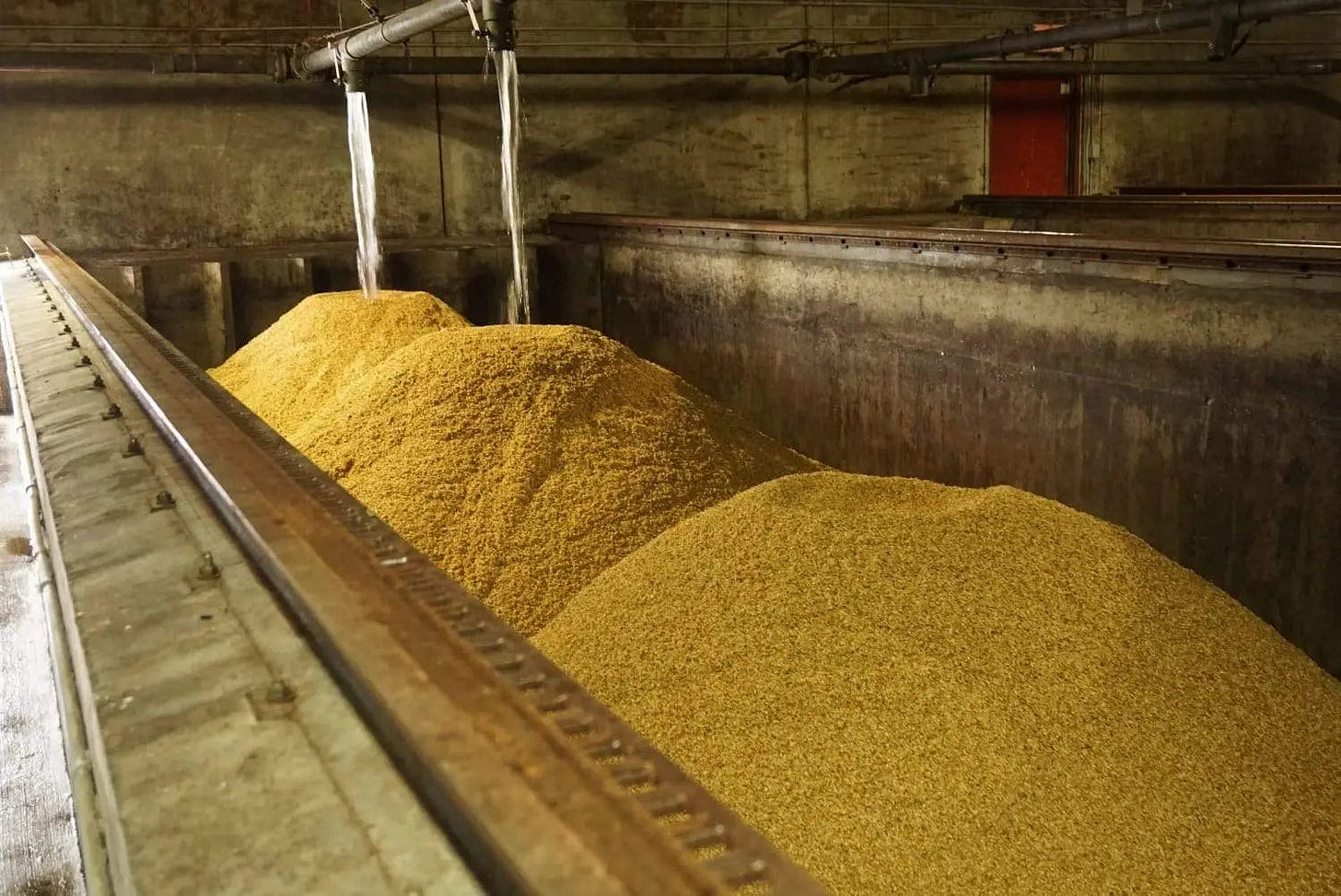 Barley Malting and Malt – Part 2 of 4: The Barley Malting – Distillique