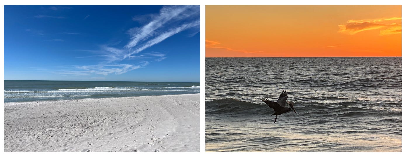 A picture of a beach on Santa Maria Island as well as a pelican fishing for dinner at dusk.