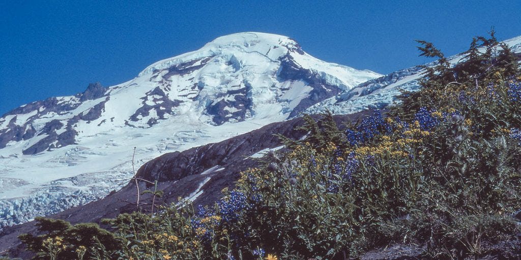 Mount Baker, August 1981