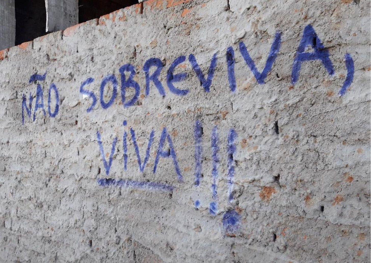 Pichação sobre um muro rebocado que diz, em roxo, "não sobreviva, viva!!!"