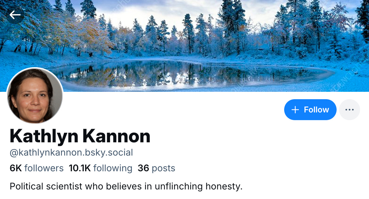 screenshot of kathlynkannon.bsky.social's profile