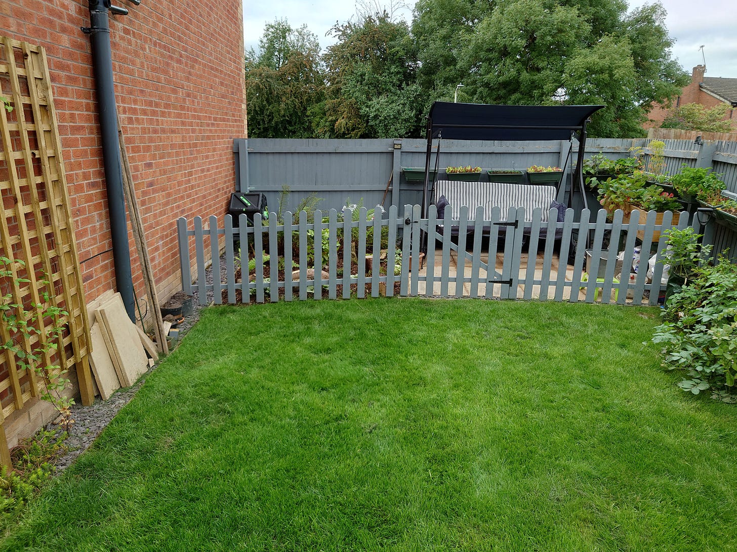 Photo of lower back garden with picket fence, ferns in place of grass, and paving slabs with a three seater swing