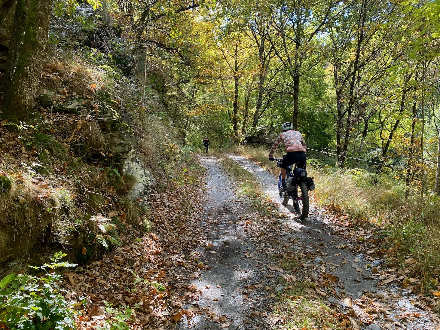 Vers l’Aigoual Vers l’Aigoual