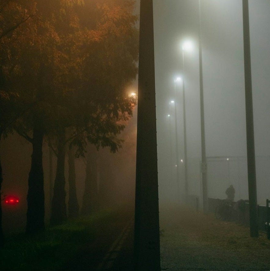 a foggy night in a park with street lights