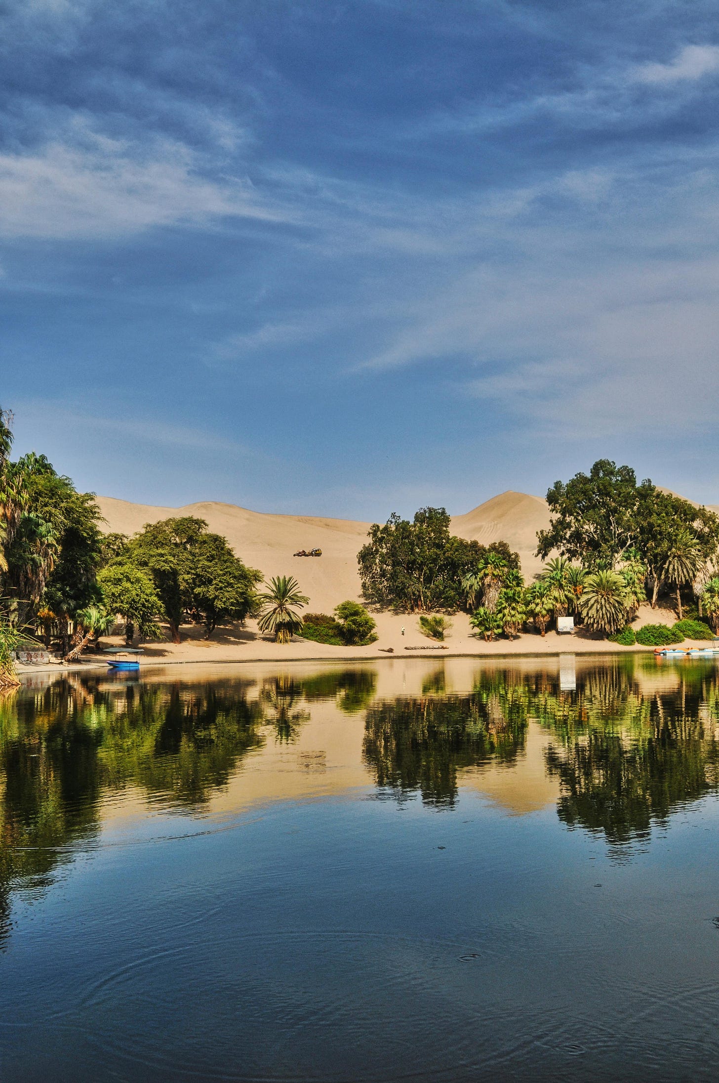 A desert oasis with a beautiful reflection. 