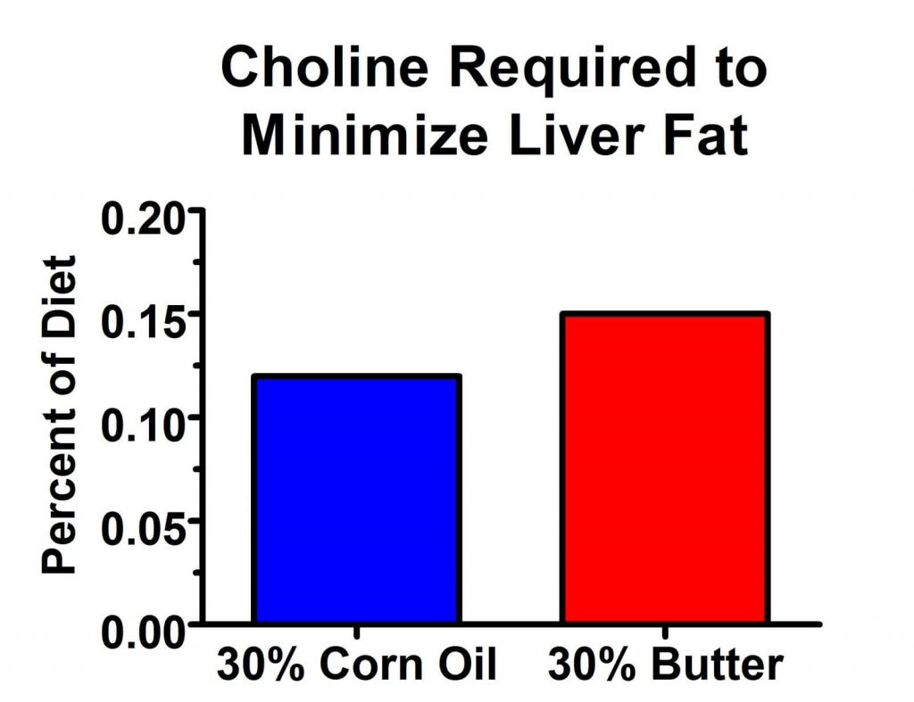 Rats fed corn oil needed less choline to minimize liver fat than rats fed butter.