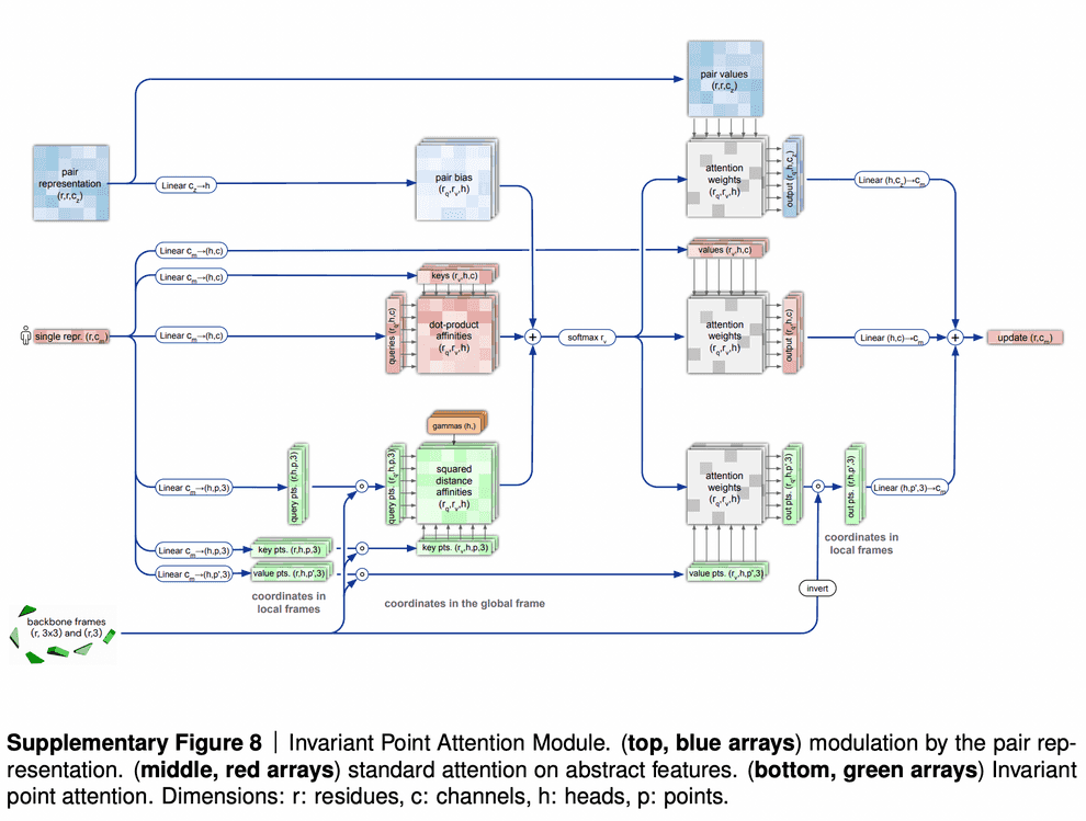 Invariant point attention (IPA)