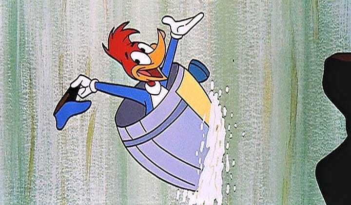Video: Wacky cartoon woodpecker's attempts to go over Niagara Falls in a  barrel | insauga
