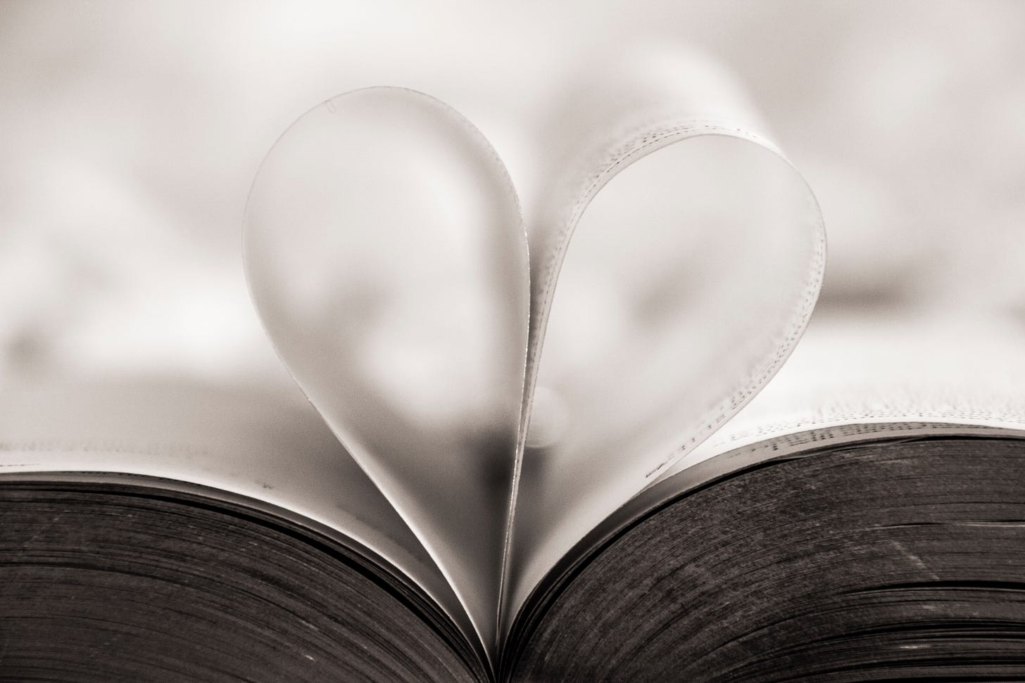 An open book with two pages folded into a heart.