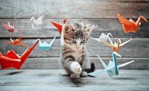 Cute little kitten is playing with colorful paper cranes on wooden background