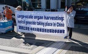 Forced Organ Harvesting and Falun Gong | Education for Justice