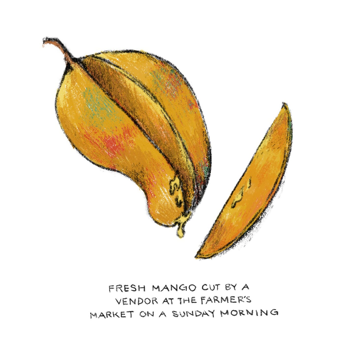 fresh mango cut by a vendor at the farmer's market on a sunday morning, a pencil illustration of a mango slice next to a mango fruit